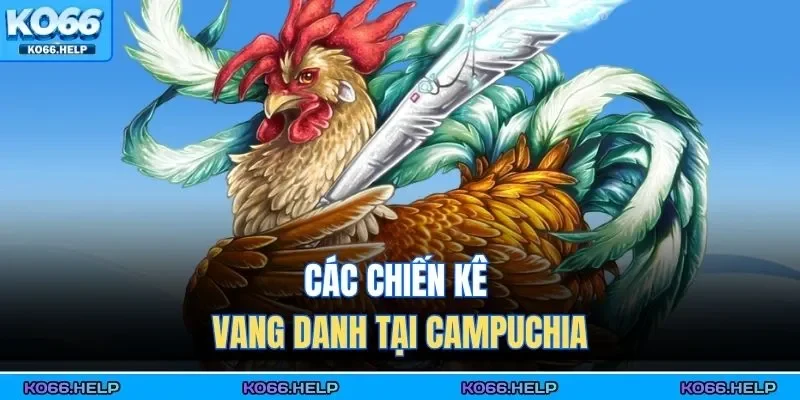 Các chiến kê vang danh tại Campuchia