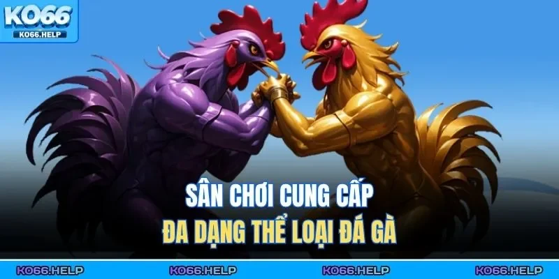 Sân chơi cung cấp đa dạng thể loại đá gà 