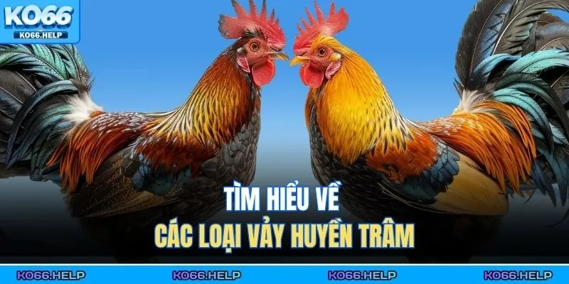 Tìm hiểu về các loại vảy huyền trâm