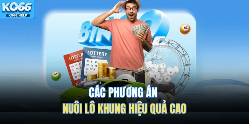 Các phương án nuôi lô khung hiệu quả cao 