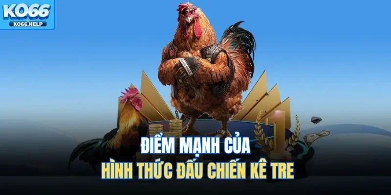 Điểm mạnh của hình thức đấu chiến kê tre