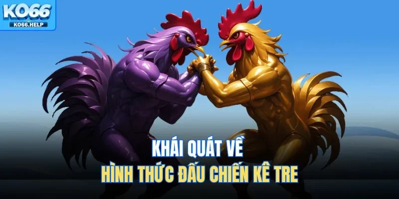 Khái quát về hình thức đấu chiến kê tre