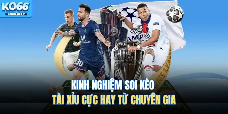 Kinh nghiệm soi kèo tài xỉu cực hay từ chuyên gia