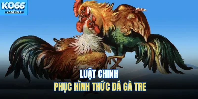 Luật chinh phục hình thức đá gà tre 